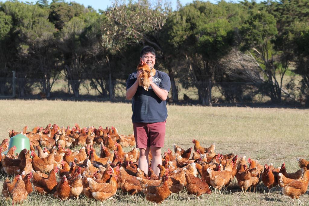Ventnor Bimbadeen Phillip Island Farm Retreats מראה חיצוני תמונה